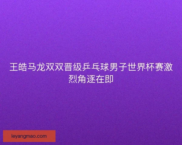 王皓马龙双双晋级乒乓球男子世界杯赛激烈角逐在即